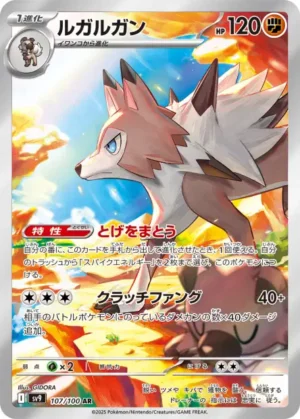 Lougaroc AR 107/100