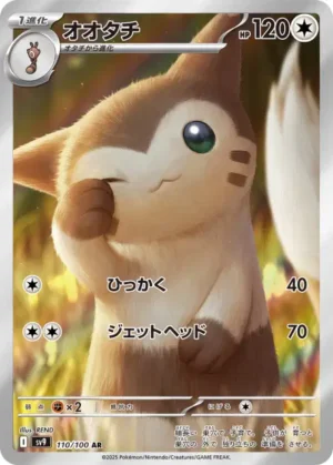 Fouinar AR 110/100