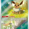 Display Gempack Volume 2 – Carte Pokémon Chinois simplifié – Image 5
