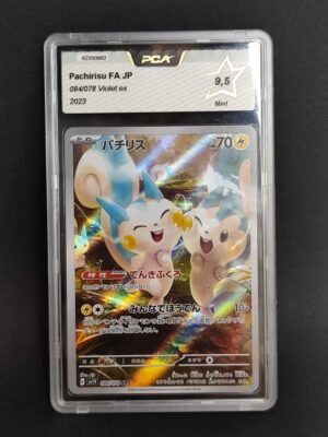 PCA Pachirisu
