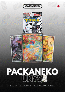 Pack mystère Pokémon Unys