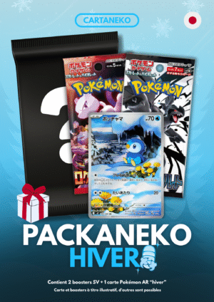 Pack mystère Pokémon