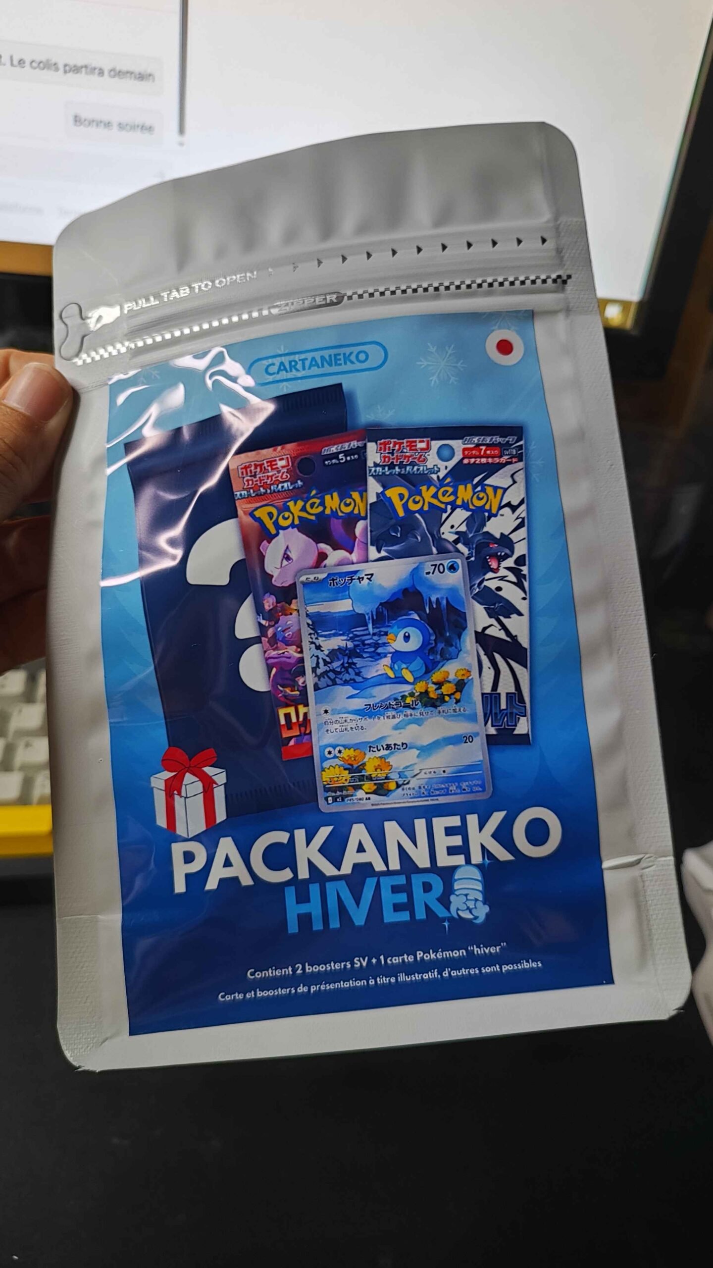 Pack mystère Hiver Pokémon Japonais : 2 boosters SV + 1 carte AR Hiver – Image 4